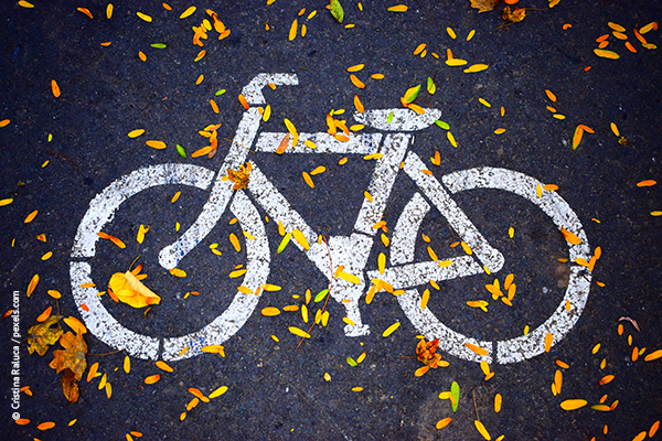 Ein weißes Fahrrad-Symbol auf Asphalt, darauf abgefallenen braunen Blätter.